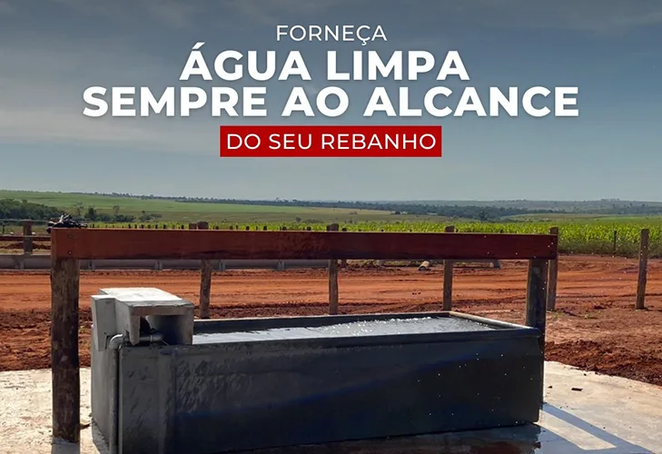 bebedouro com água fresca para o gado